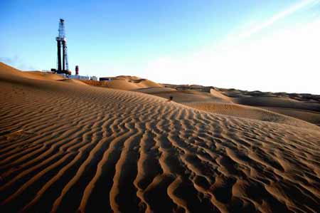 ����ľ����