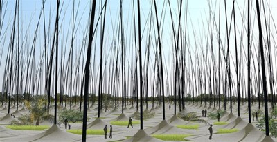 �����OӋ�����°l늙C